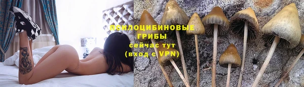 гашик Армянск