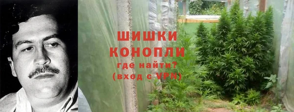 прущие грибы Алексин