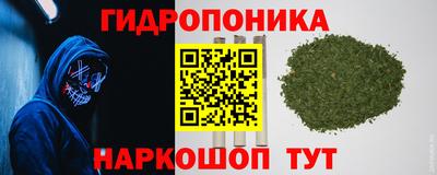 jwh Кинель