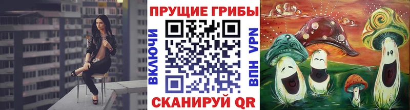 Псилоцибиновые грибы прущие грибы  Красноуфимск 