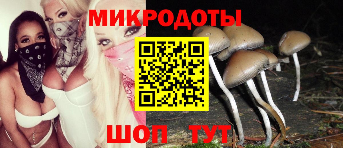 Псилоцибиновые грибы ЛСД Красноуфимск
